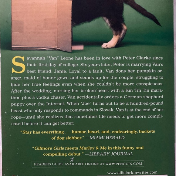 NOVEL | STAY - BY ALLIE LARKIN - Picture 3 of 3